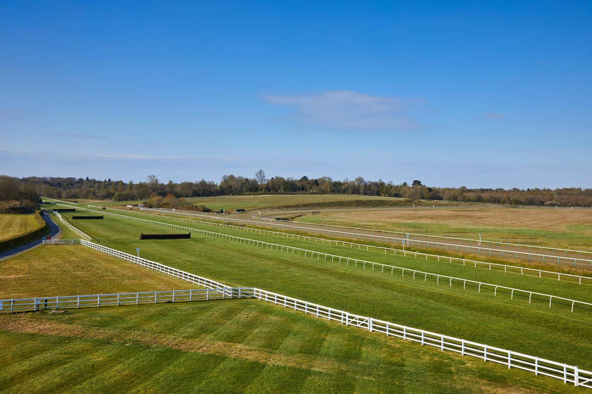 Lingfield Park Marriott Hotel & Country Club Экстерьер фото